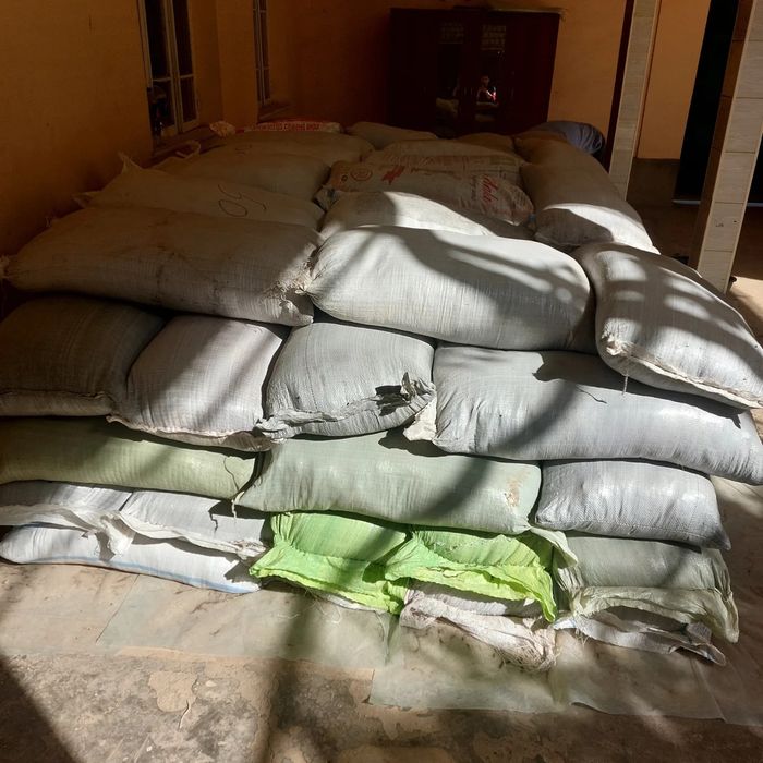 Biogumus kaliforniya qizil yomgir chuvalchanglari sotamiz