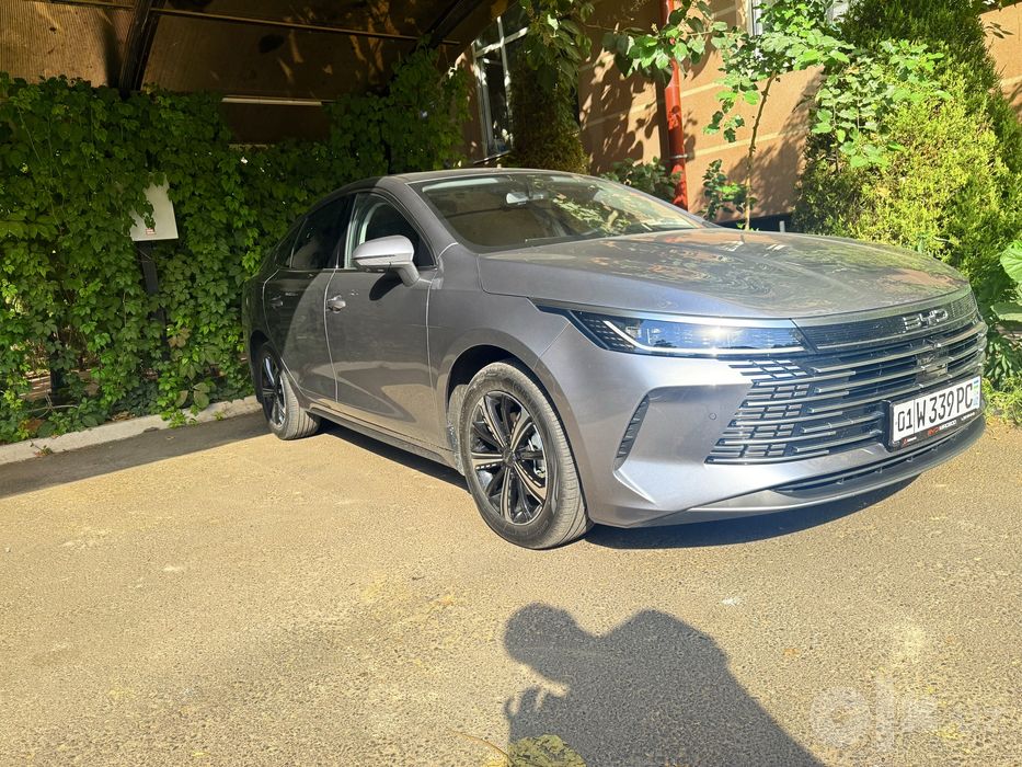 BYD chazor 120 comfort