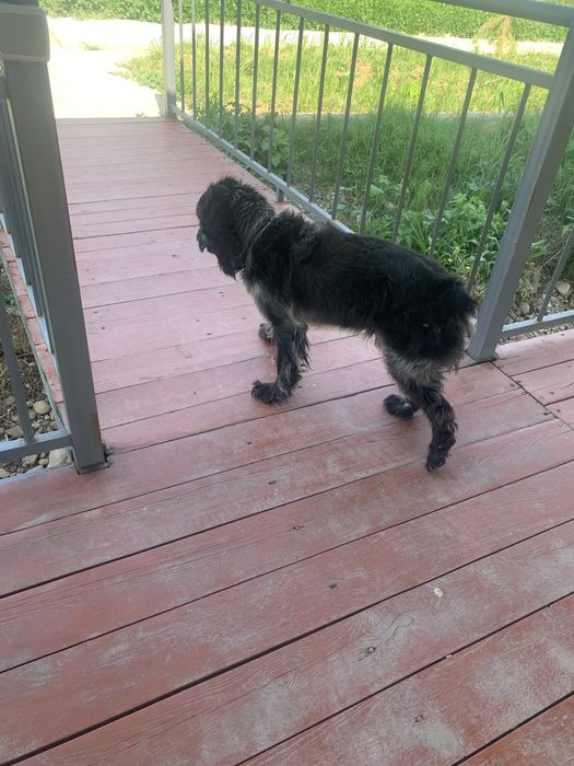 Руский спанель