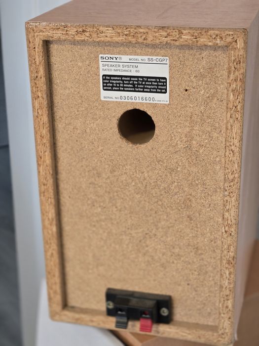 Mocrosistem audio Panasonic PM270 si boxe Sony