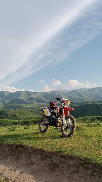 Эндоро Алматор 300