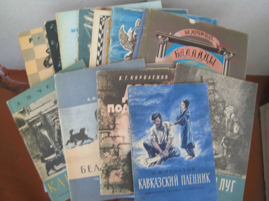 книги по школьной программе