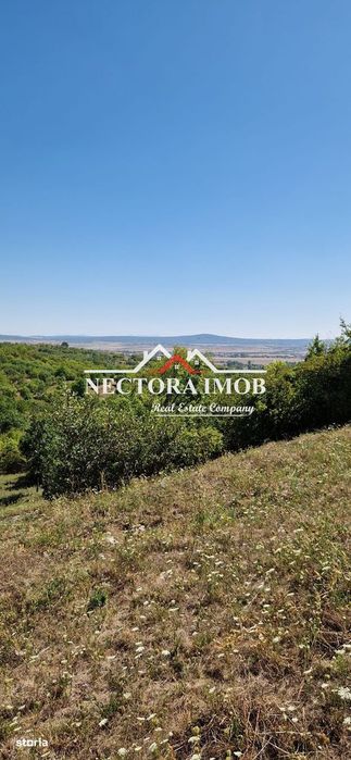 NECTORA IMOB-Teren Zona Podgoria,3400 mp (Intravilan + Extravilan)