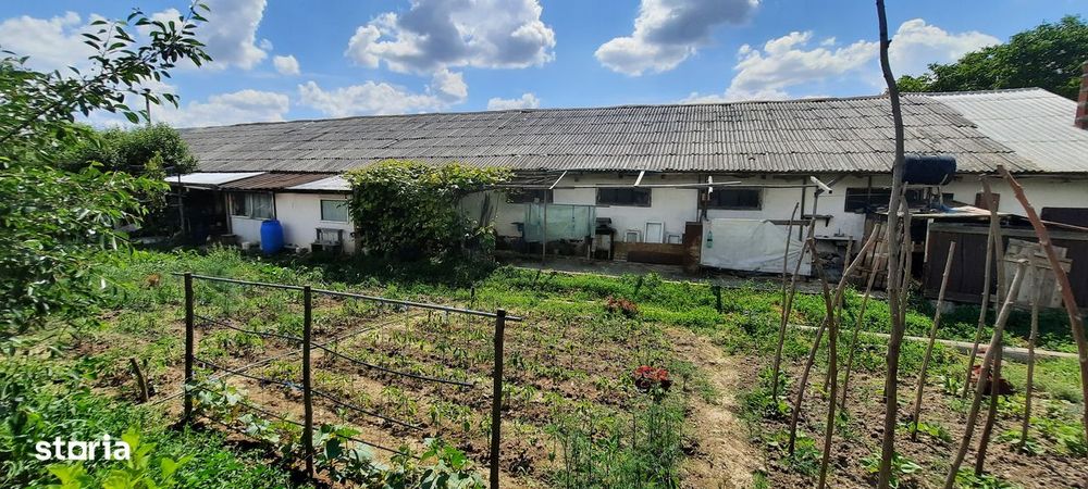 Hala zona Drumul Tatarilor cu 1770mp teren