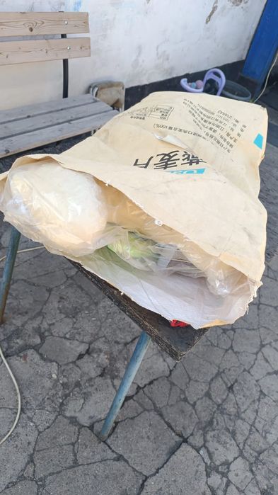 Каталка лошадка детская