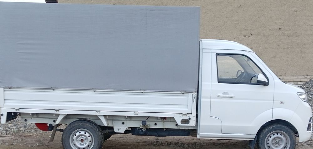 Madeli - Shinaray T30