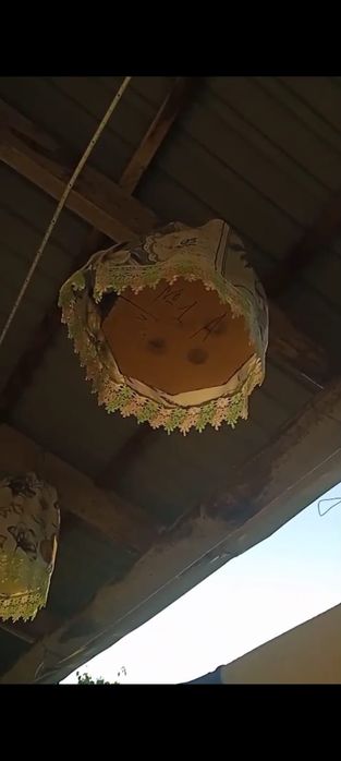 Поющая Перепелка