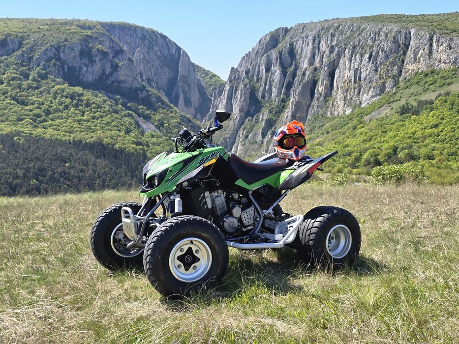 Vand Arctic Cat Dvx 400 street