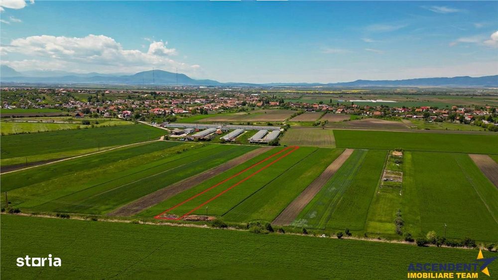 FILM! Teren extravilan 5.000 mp in zona linistita cu acces facil, Bod,