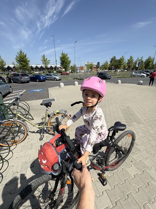 Scaun bicicleta copii 2-5 ani