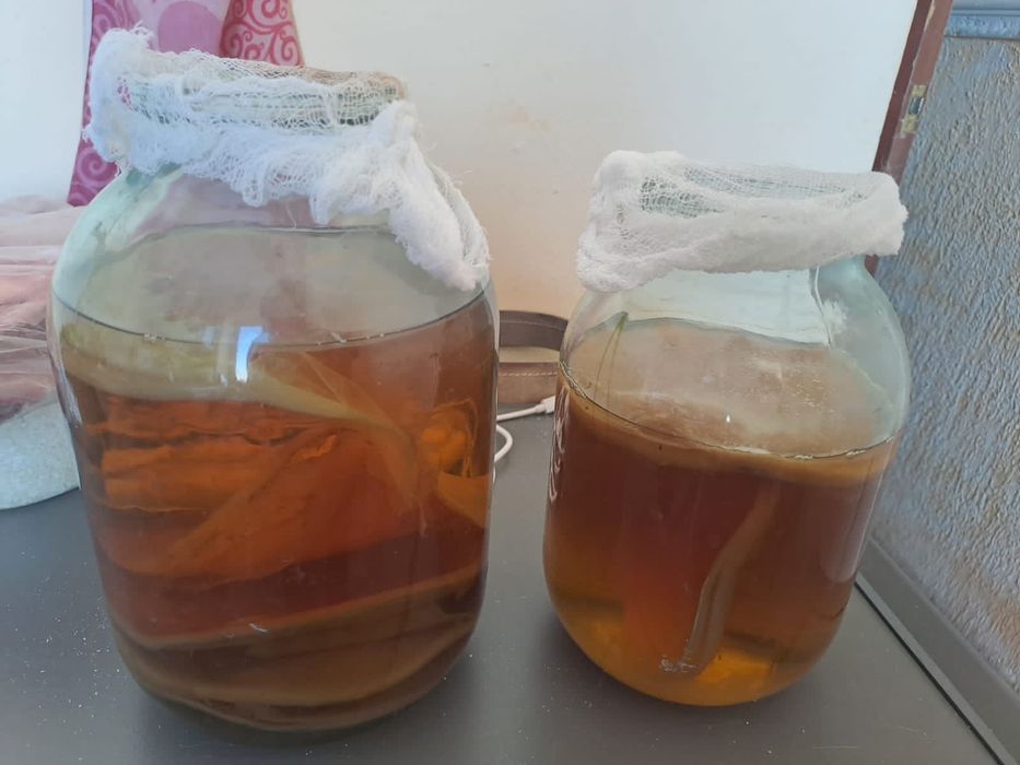 Чайный гриб 2л банка, 3 л банка.