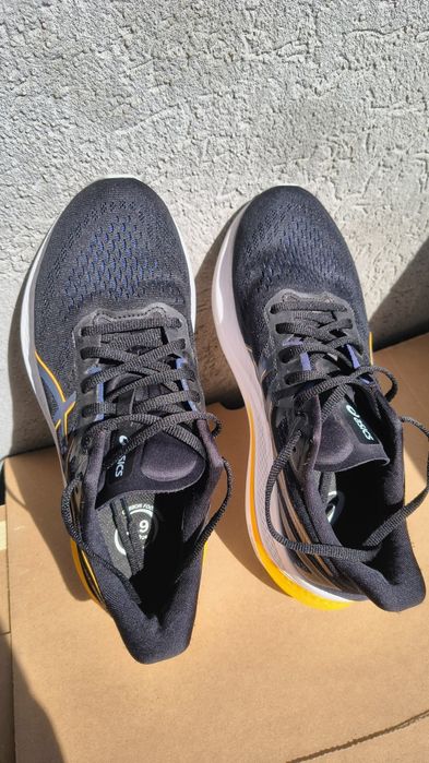 Asics GT-2000 12 (42)