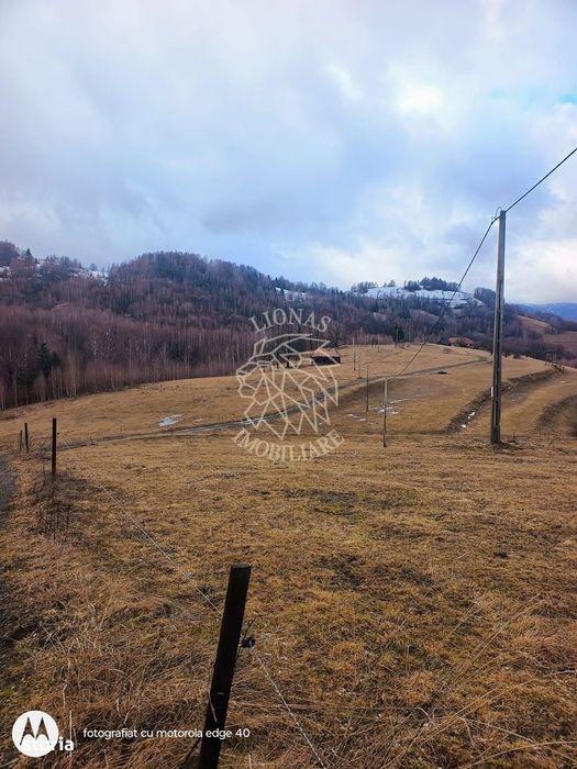 Comision 0 Teren Turistic Extravilan Aproape De Padure Sacuieu Vladeas