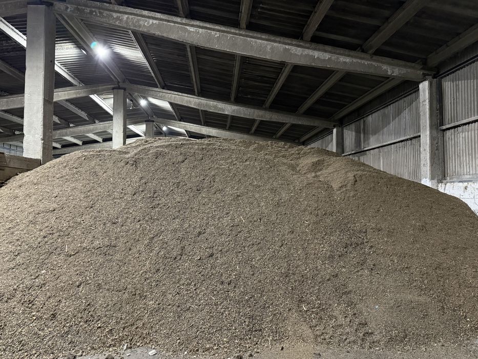 Vand goz /gozuri floarea Soarelui