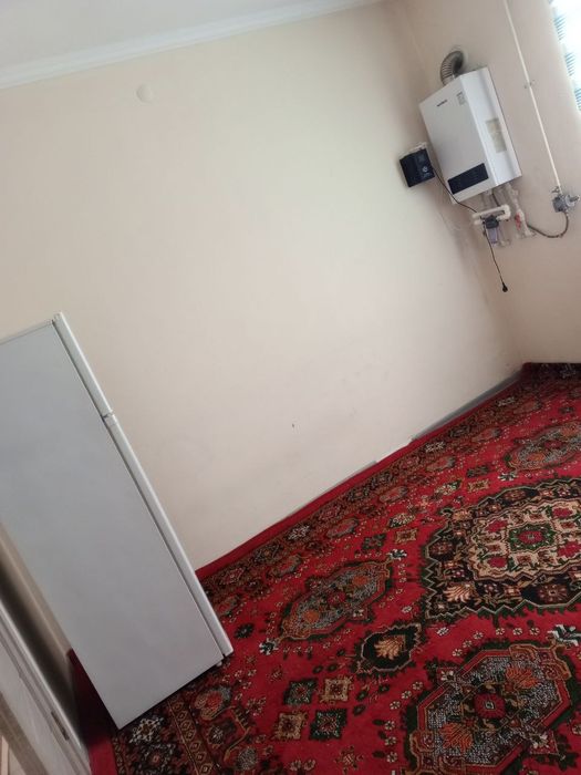 Motrid ijaraga beriladi