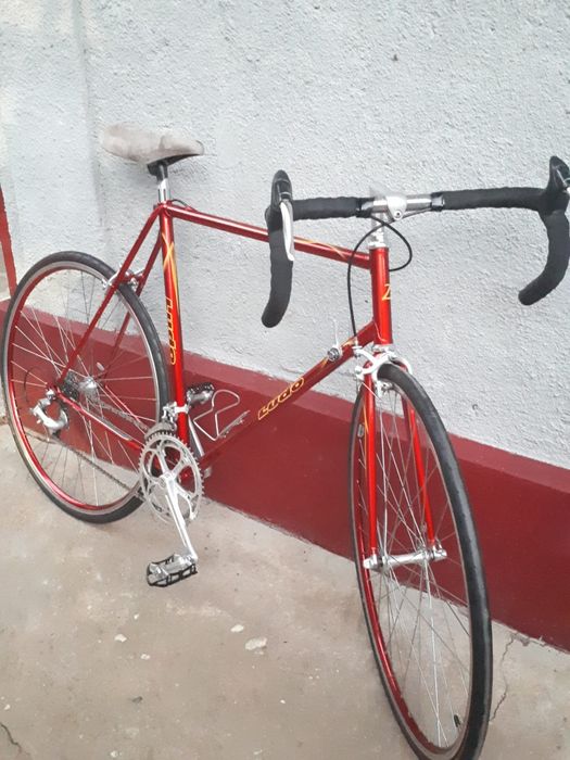 Cursieră LUDO Belgia-clasică