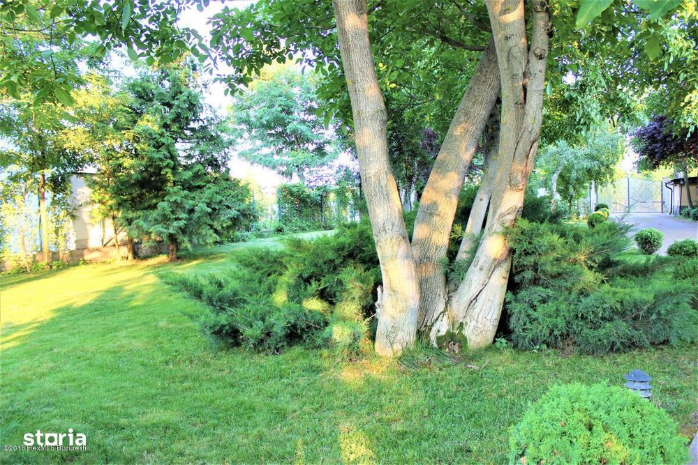 Buftea teren pe colt cu dubla deschidere 500 mp AConstruire P+E