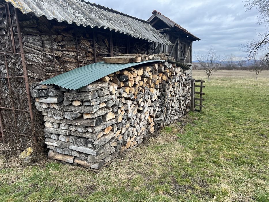 Vand lemn de foc esența tare,uscat ,tăiat pt centrala