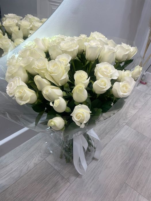 Роза 51 шт аппақ свежи