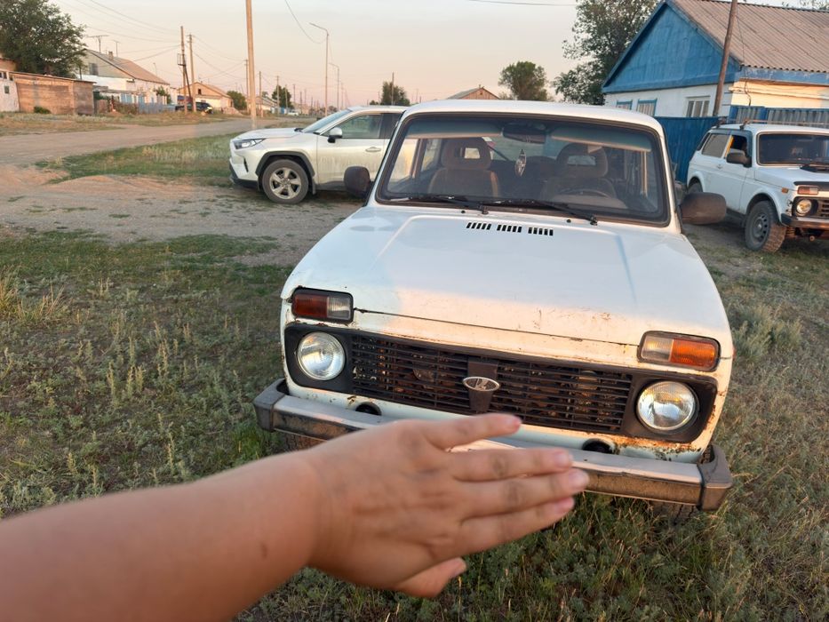 Нива 2014 г шарда тұр