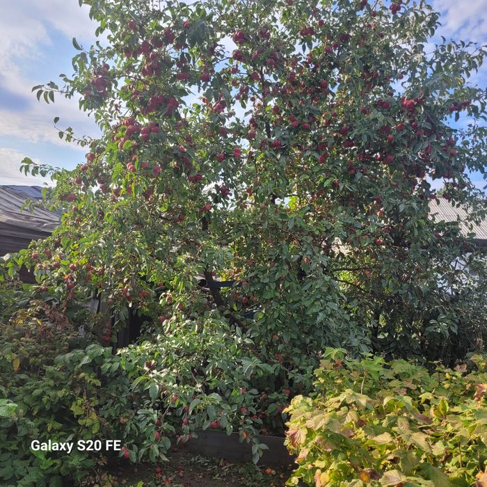 Продаётся особняк