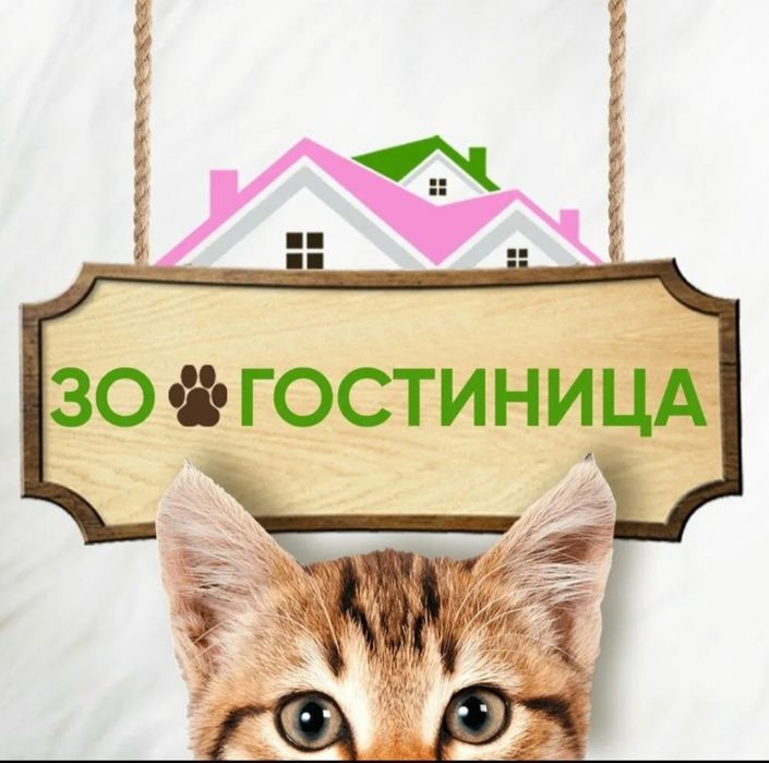 Зоогостиница для кошечек в центре города!