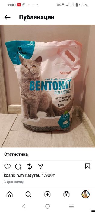 Наполнитель для кошек