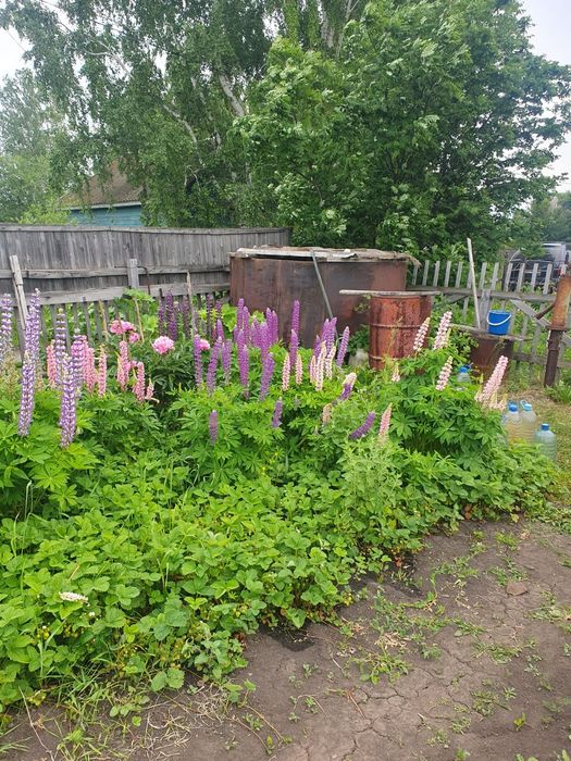 Продам дачу,,Тихая роща,,