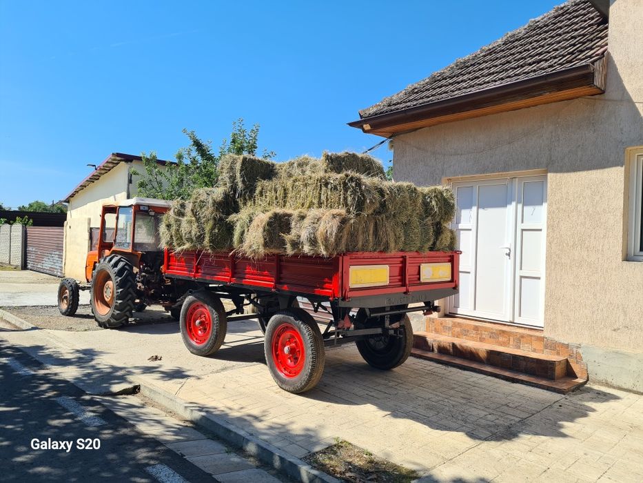 Boți Ovăz tăiat în vedere și fan