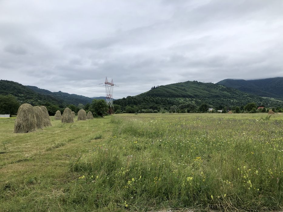 Teren DN15 Stejaru, Pangarati, Neamt, 9000 mp