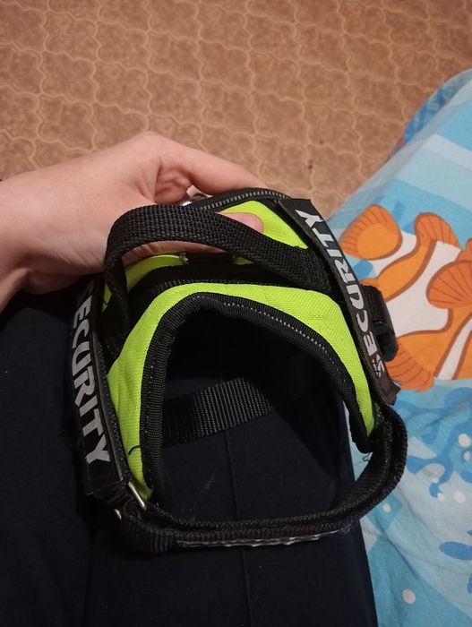 Продаю амуницию для собак