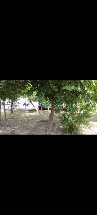 Ховли уй сотилади