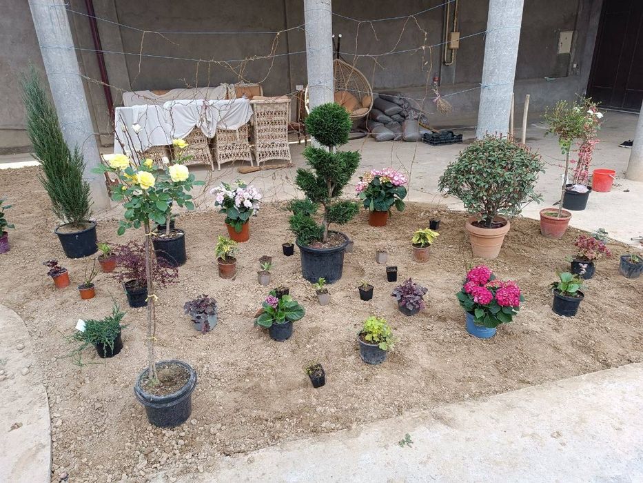 Садовник обрезка деревьев и уход сада и.тд Богбон Ландшафтный дизайн.