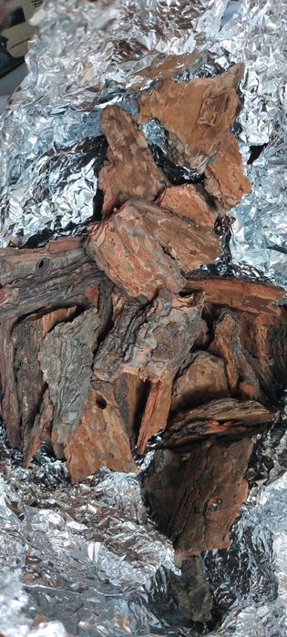 Кора сосны из леса