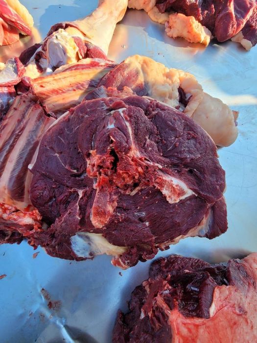 Жылқы еті, қазы, жал жайа