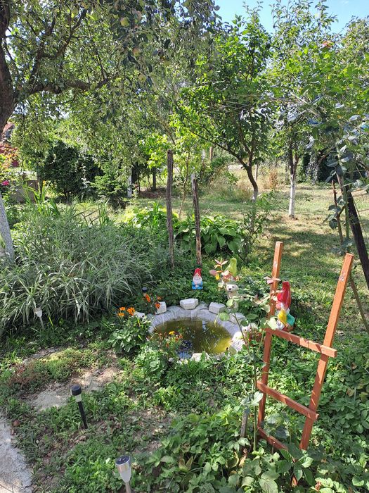 Se vinde casa cu gradina mare in Bethausen