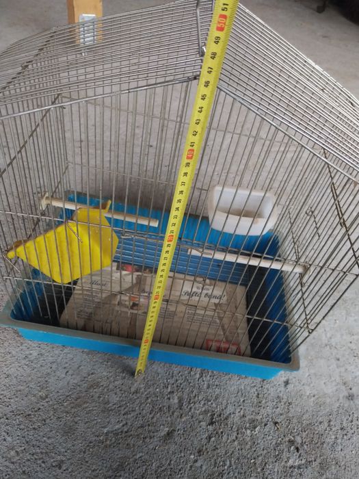 colivie second hand pentru canari, perusi, pasari exotice etc.