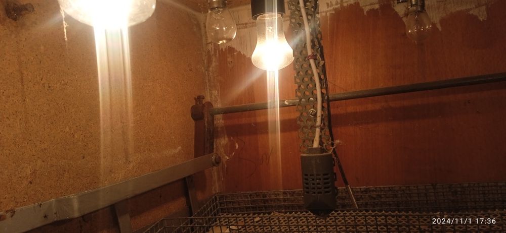 Inkubator  barcha turdagi parranda tuxumi uchun