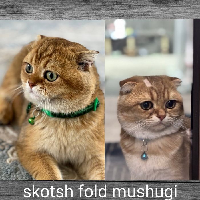 Novopolotsk jinsiy aloqa