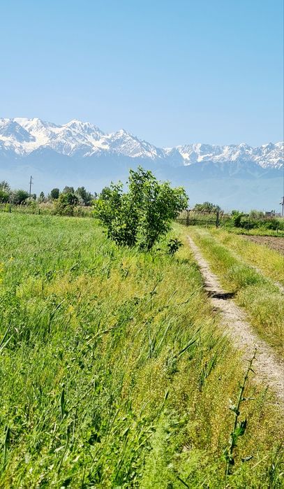 Земля! Продам 6,4 га земли.