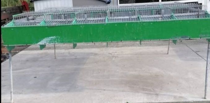 Vând cușcă iepuri