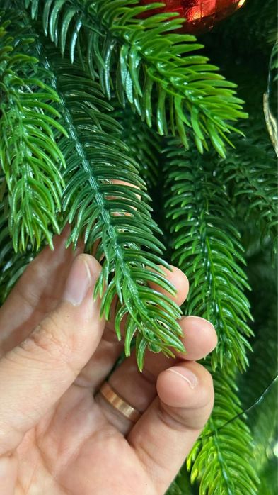 Елка Шымкент оптом