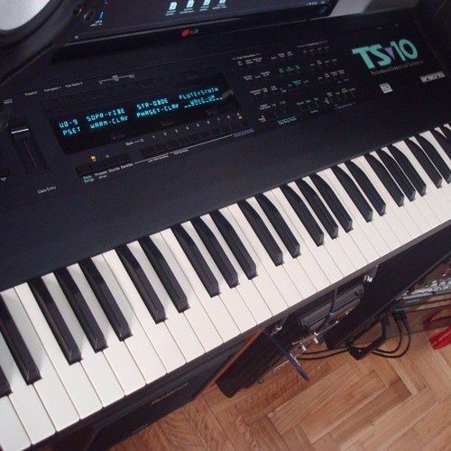 Ensoniq ts10 flesh bor
