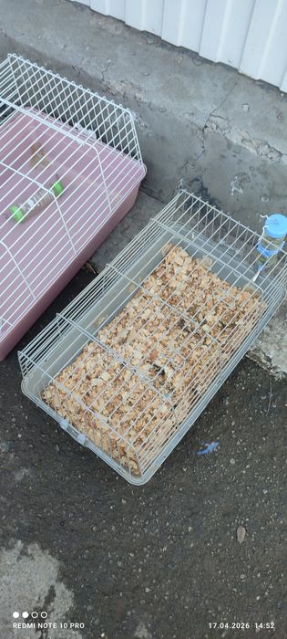 Клетки для грызуна