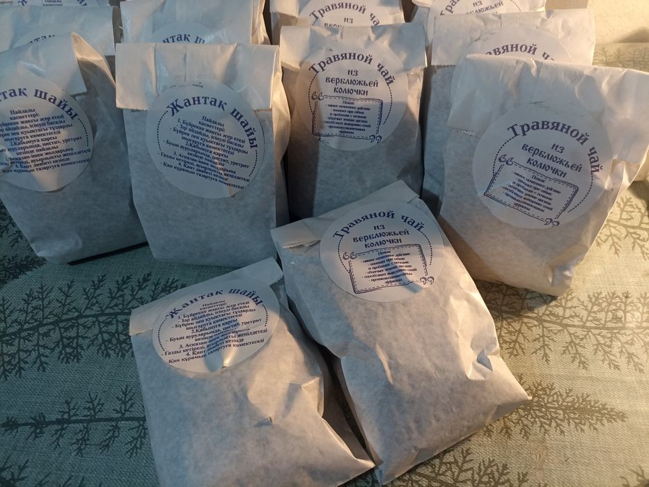 Верблюжья колючка. (Жантақ)