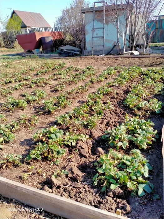 Продам дачу в ПК Энтузиаст, ГРП