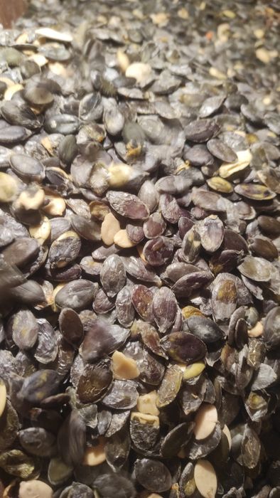 Ulei dovleac  calitate foarte buna