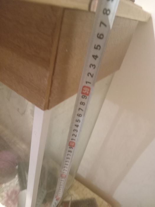 Аквариум. С доставкой