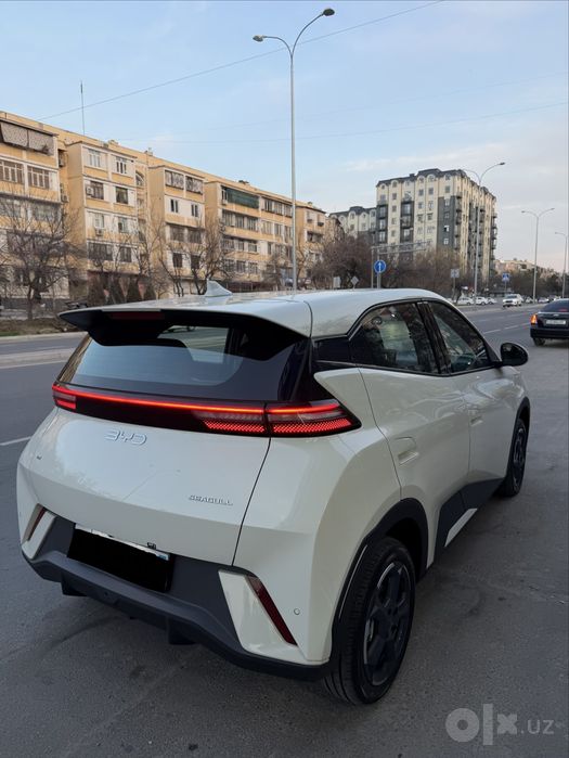 Byd seagull srochna sotiladi