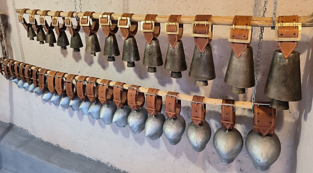 Колани за чанове чан и сурва